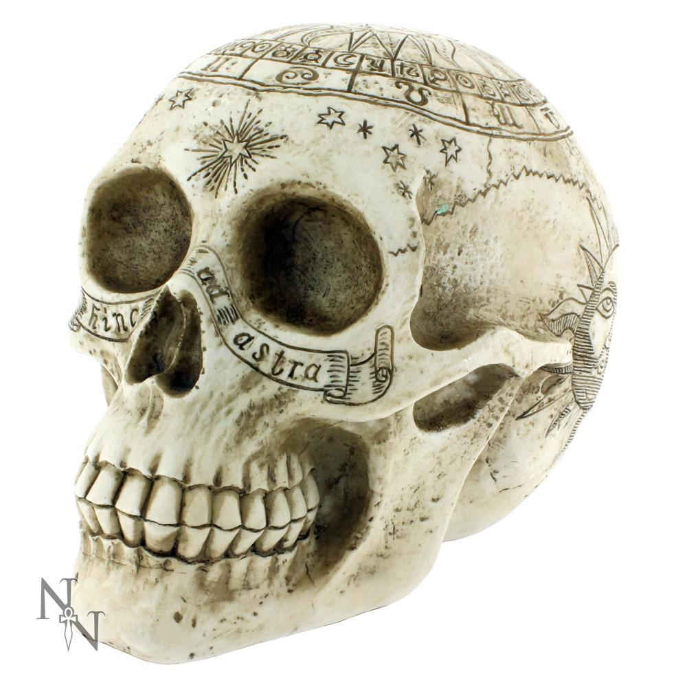 Nemesis Now - Astrological Skull Dekorative Figur - Creme/Beige